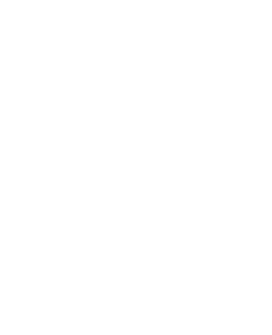 9 Minds logo